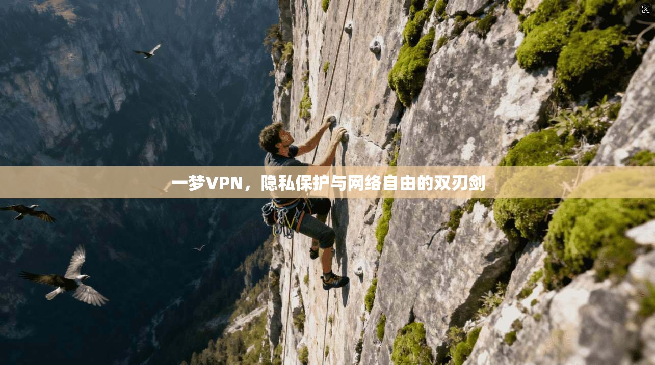 一梦VPN，隐私保护与网络自由的双刃剑