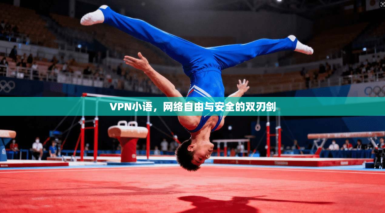 VPN小语，网络自由与安全的双刃剑