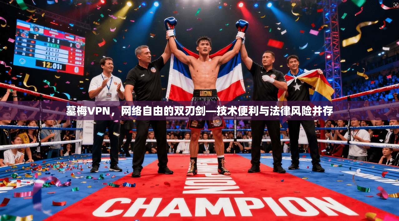 墓梅VPN，网络自由的双刃剑—技术便利与法律风险并存
