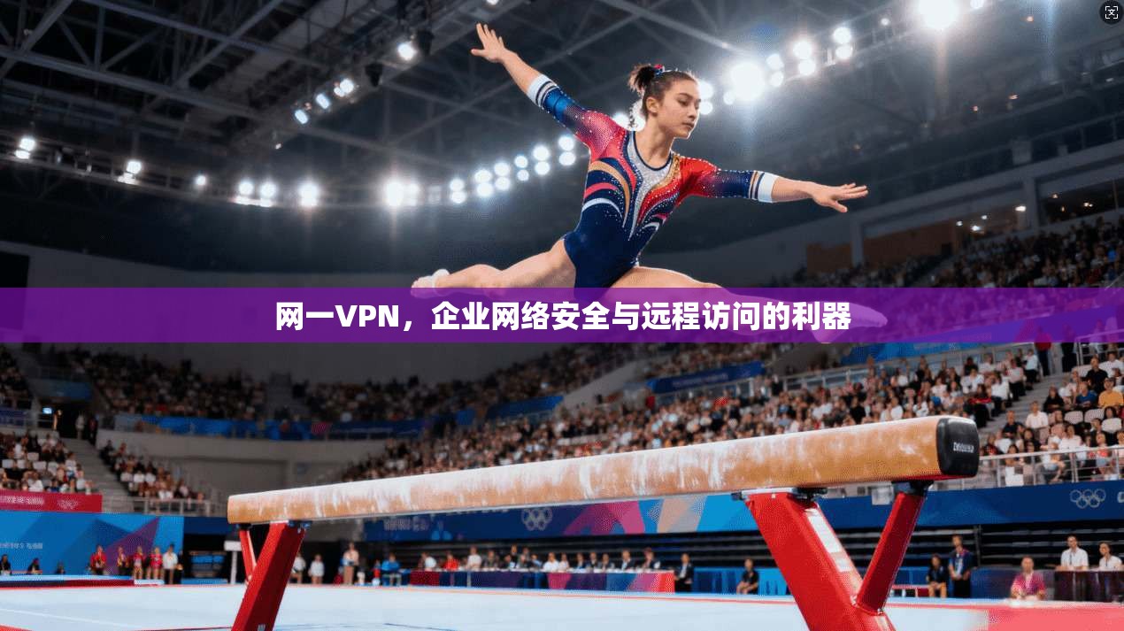 网一VPN，企业网络安全与远程访问的利器