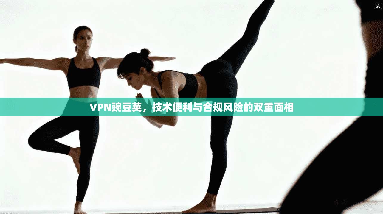 VPN豌豆荚,技术便利与合规风险的双重面相