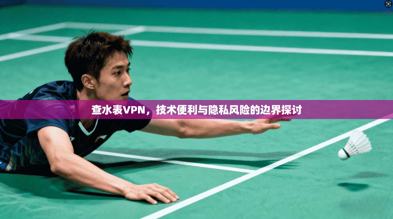 查水表VPN，技术便利与隐私风险的边界探讨