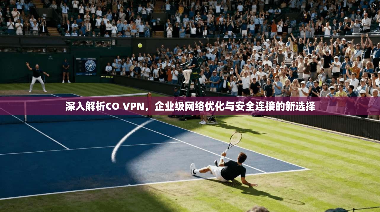深入解析CO VPN，企业级网络优化与安全连接的新选择