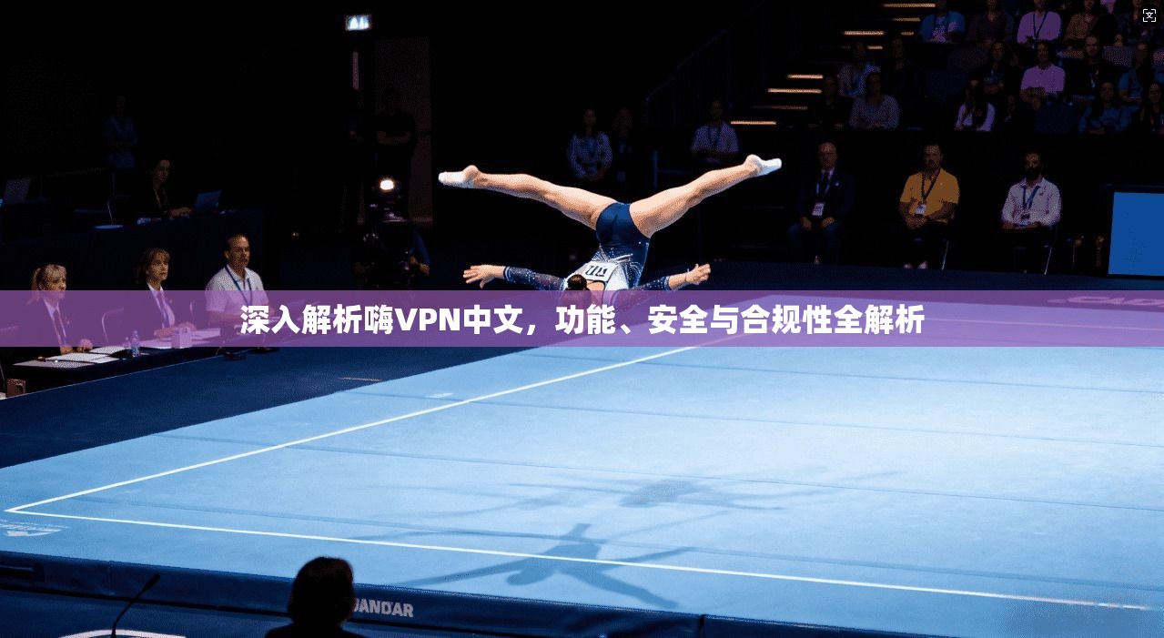 深入解析嗨VPN中文，功能、安全与合规性全解析
