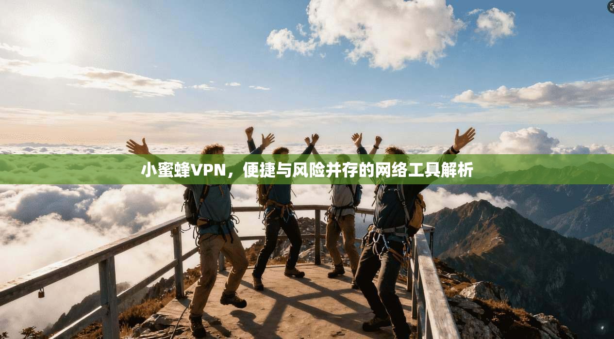 小蜜蜂VPN，便捷与风险并存的网络工具解析