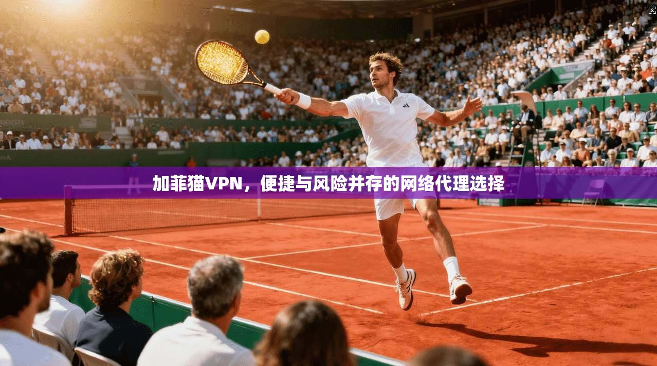 加菲猫VPN,便捷与风险并存的网络代理选择