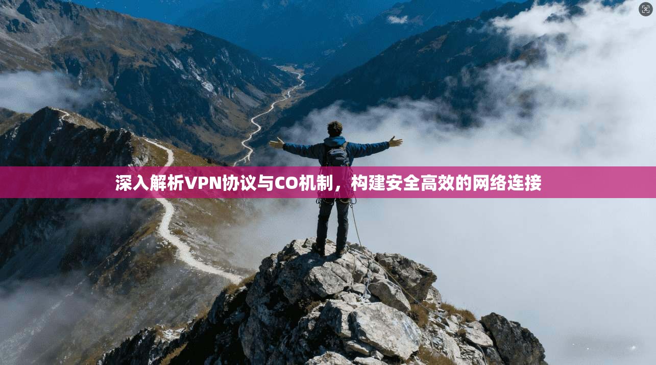深入解析VPN协议与CO机制,构建安全高效的网络连接 深入解析VPN协议与CO机制,构建安全高效的网络连接