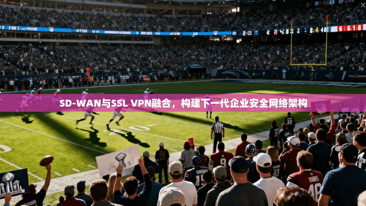 SD-WAN与SSL VPN融合，构建下一代企业安全网络架构