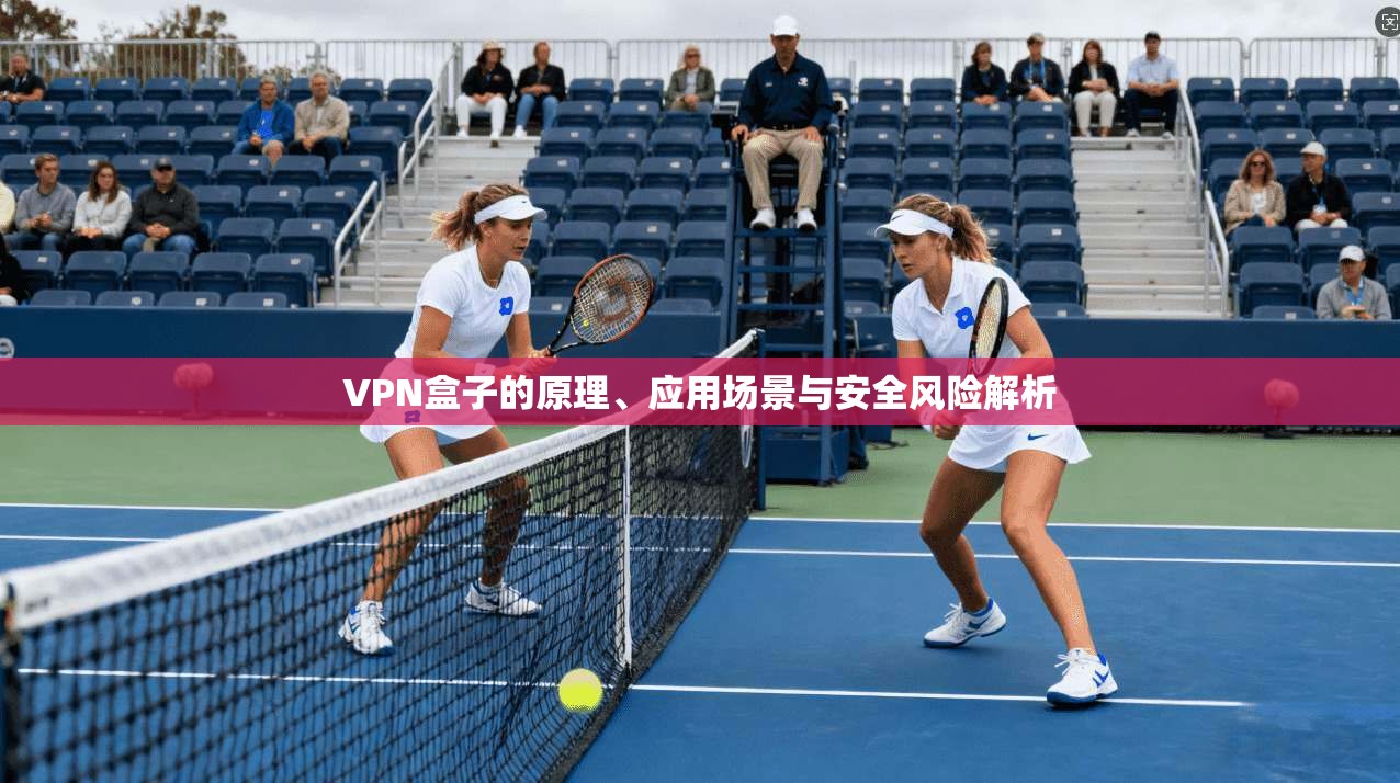 VPN盒子的原理、应用场景与安全风险解析
