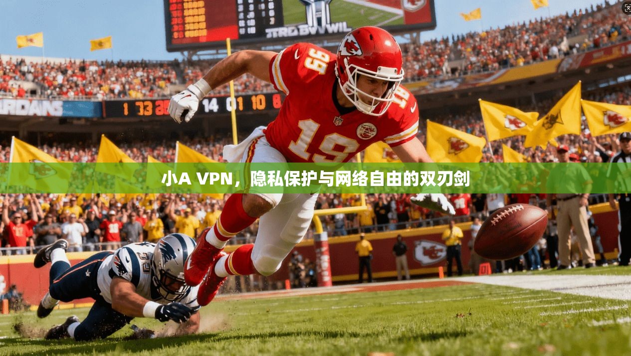 小A VPN，隐私保护与网络自由的双刃剑