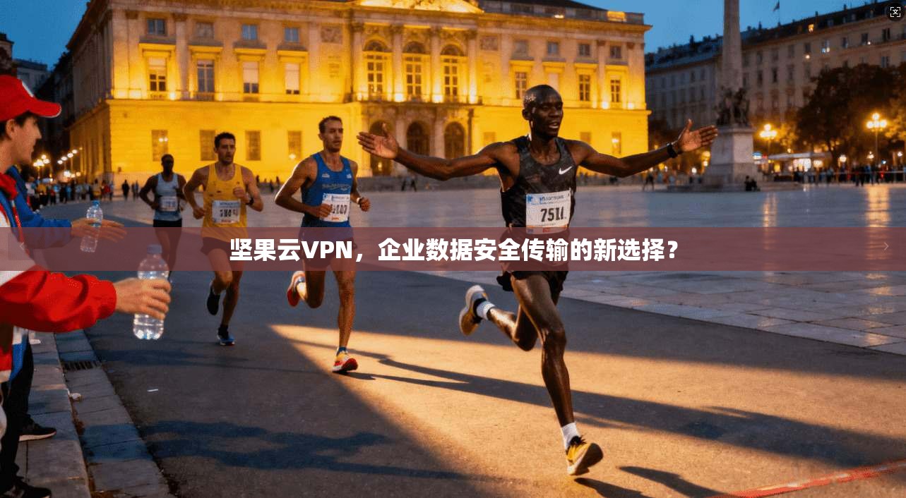 坚果云VPN,企业数据安全传输的新选择?