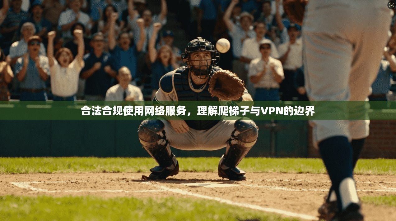 合法合规使用网络服务，理解爬梯子与VPN的边界