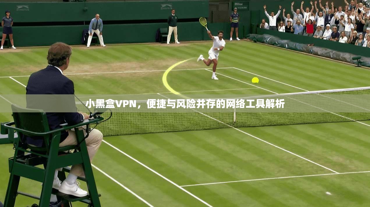 小黑盒VPN，便捷与风险并存的网络工具解析