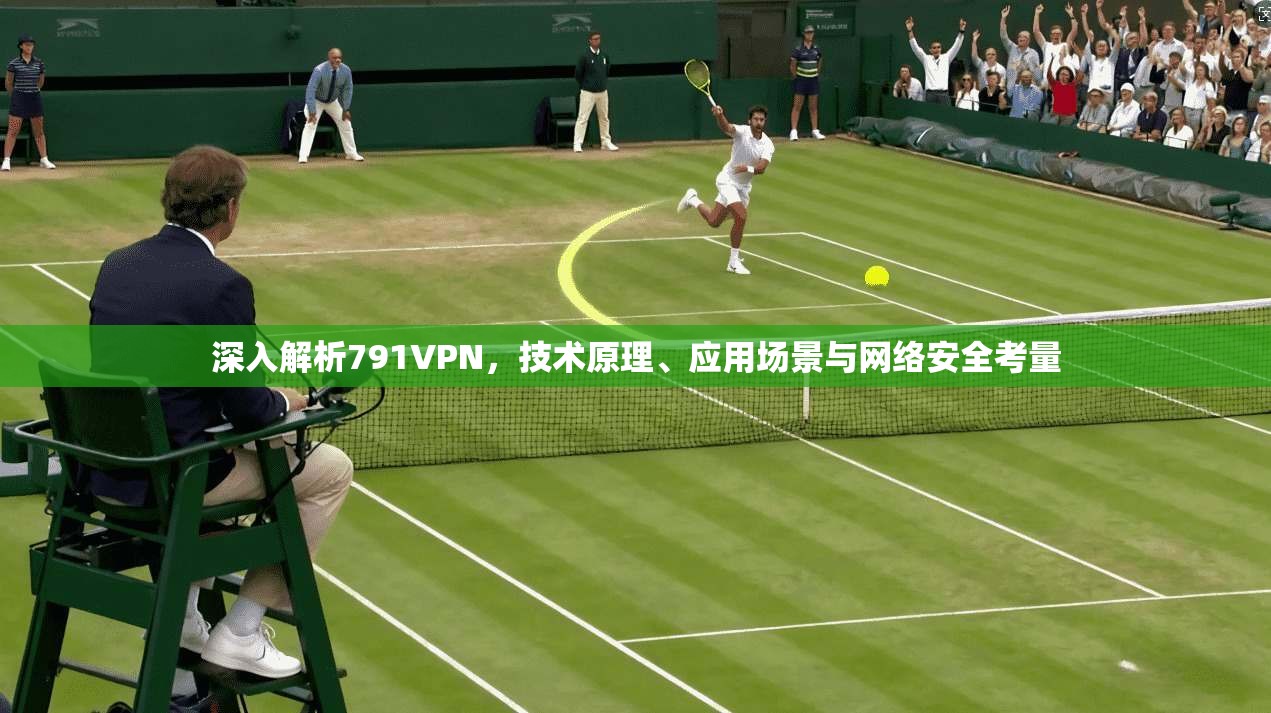 深入解析791VPN，技术原理、应用场景与网络安全考量