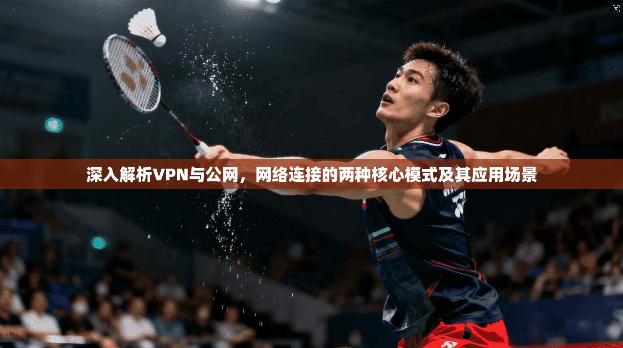 深入解析VPN与公网,网络连接的两种核心模式及其应用场景