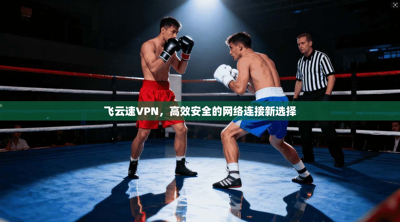 飞云速VPN，高效安全的网络连接新选择