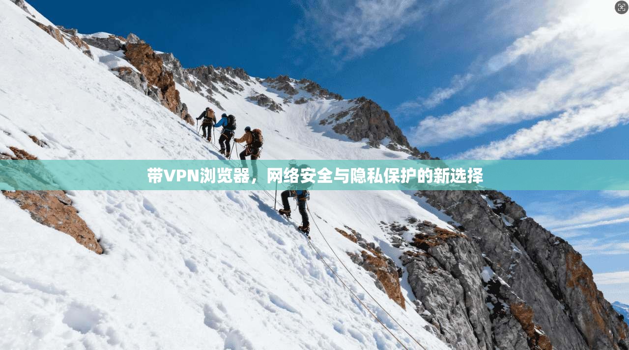 带VPN浏览器，网络安全与隐私保护的新选择
