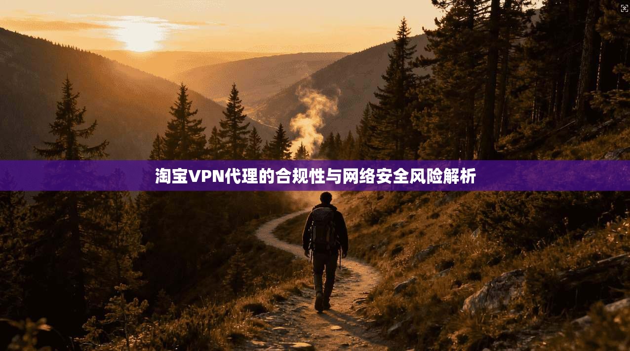 淘宝VPN代理的合规性与网络安全风险解析