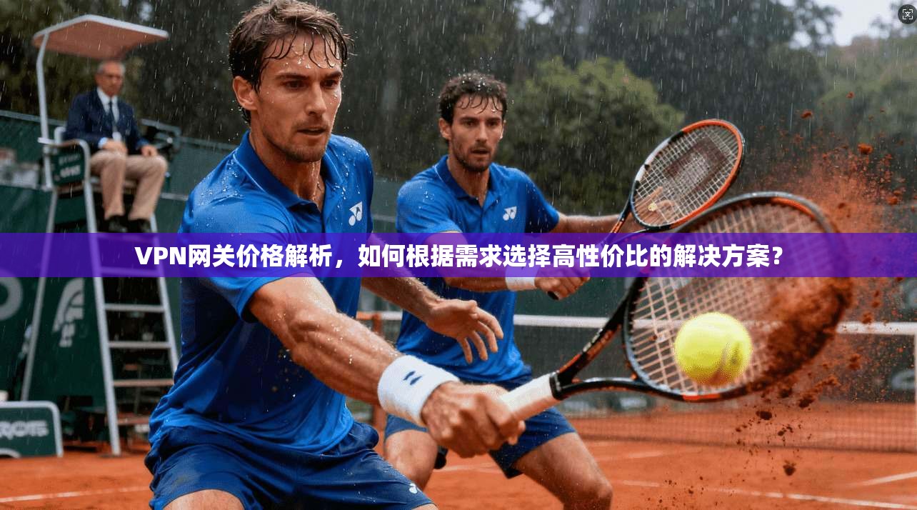 VPN网关价格解析,如何根据需求选择高性价比的解决方案?