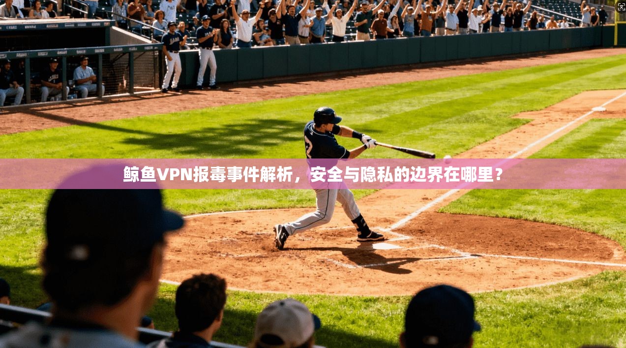 鲸鱼VPN报毒事件解析,安全与隐私的边界在哪里?