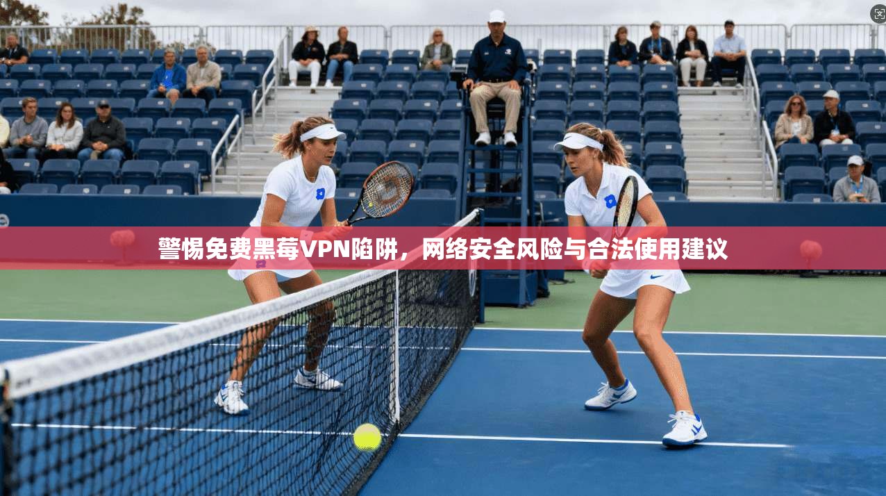 警惕免费黑莓VPN陷阱，网络安全风险与合法使用建议