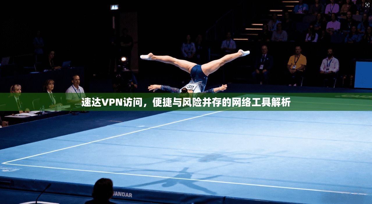 速达VPN访问，便捷与风险并存的网络工具解析