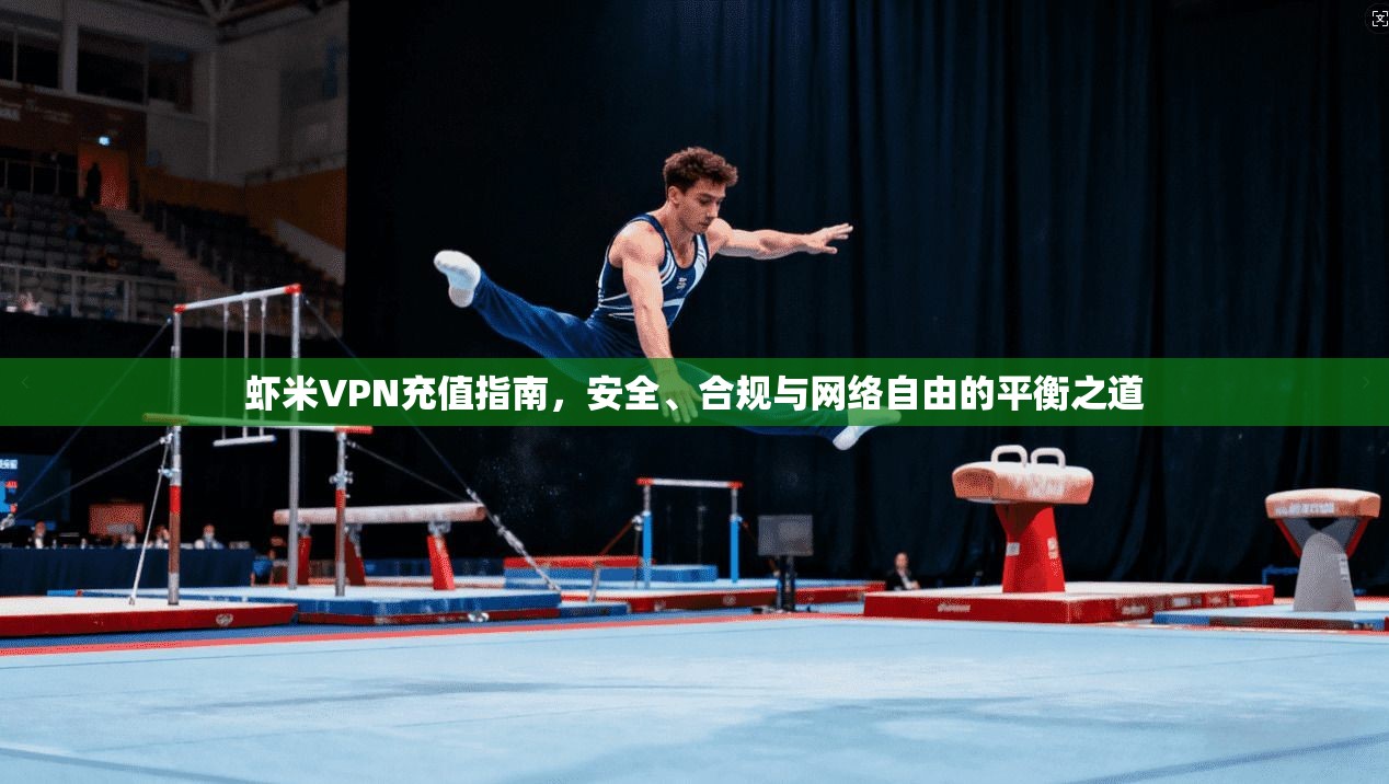 虾米VPN充值指南,安全、合规与网络自由的平衡之道