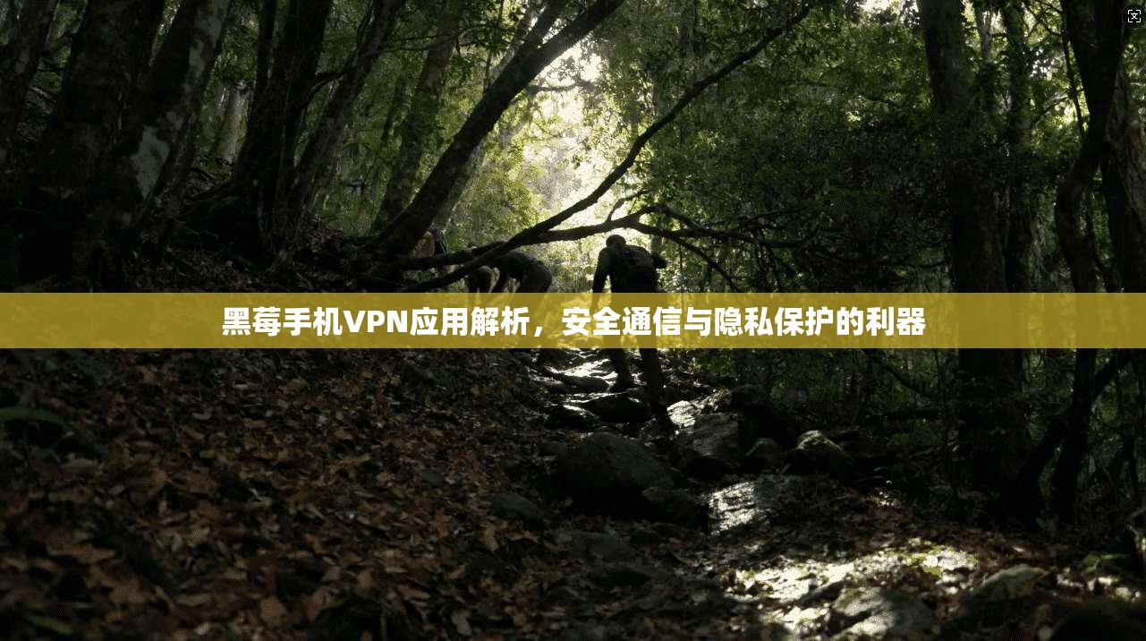 黑莓手机VPN应用解析，安全通信与隐私保护的利器