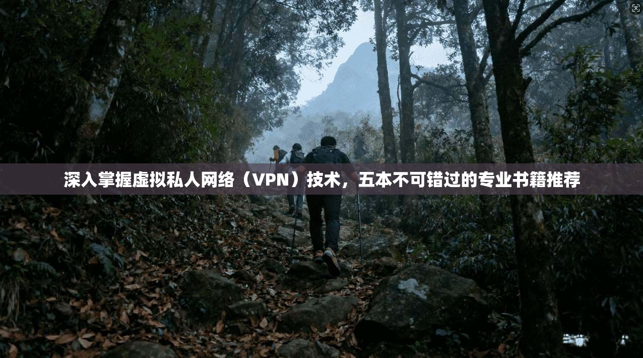 深入掌握虚拟私人网络（VPN）技术，五本不可错过的专业书籍推荐