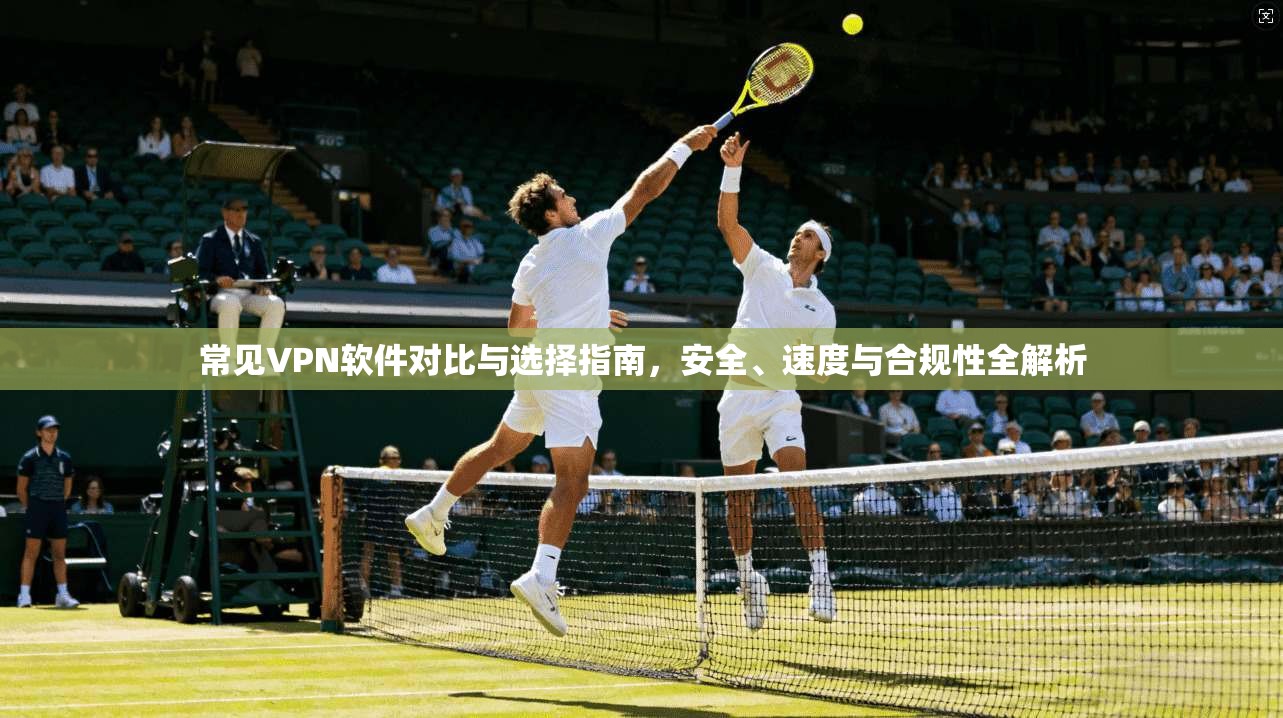 常见VPN软件对比与选择指南，安全、速度与合规性全解析