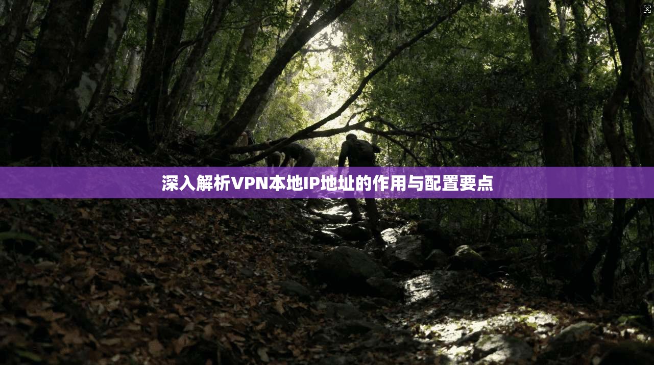 深入解析VPN本地IP地址的作用与配置要点