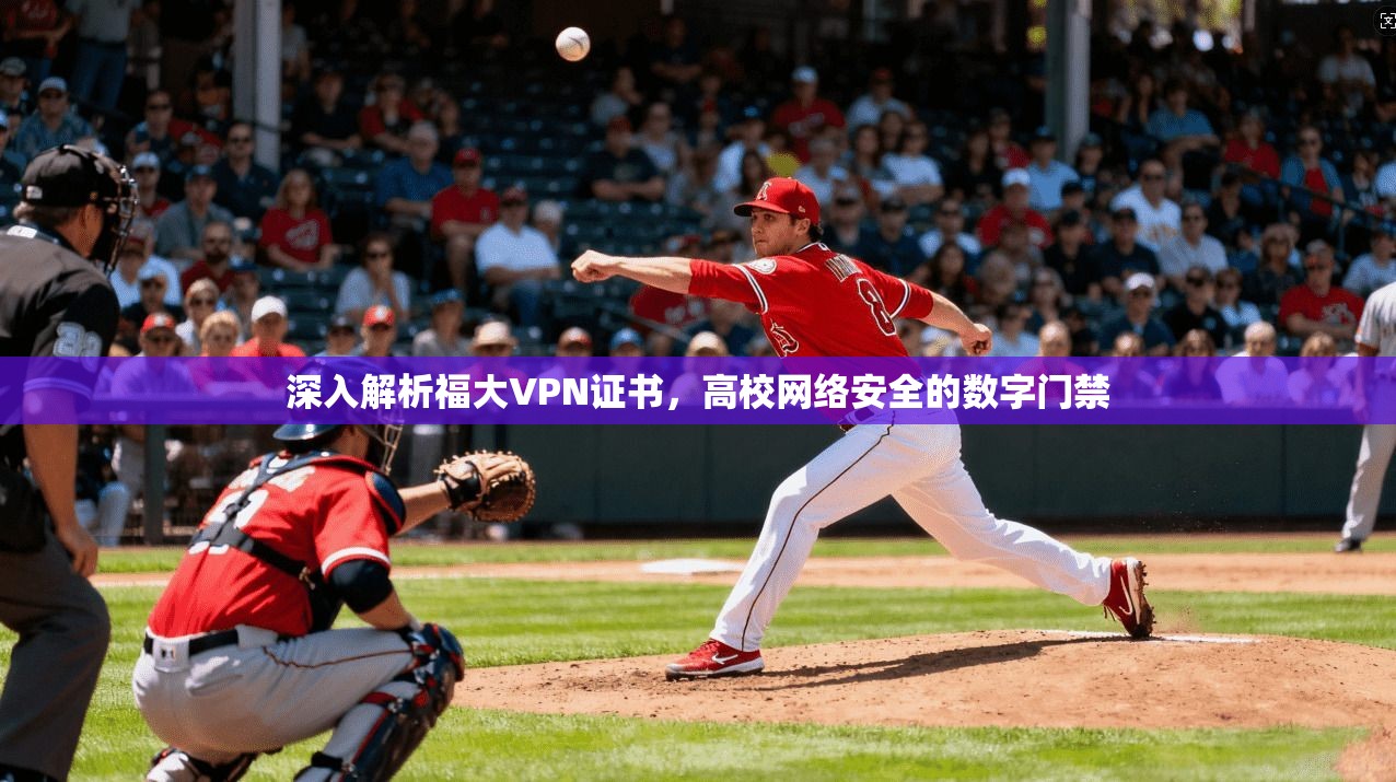 深入解析福大VPN证书，高校网络安全的数字门禁