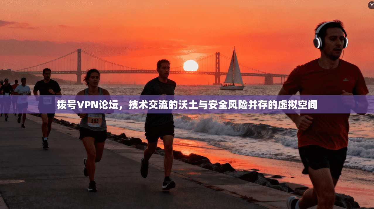 拨号VPN论坛，技术交流的沃土与安全风险并存的虚拟空间
