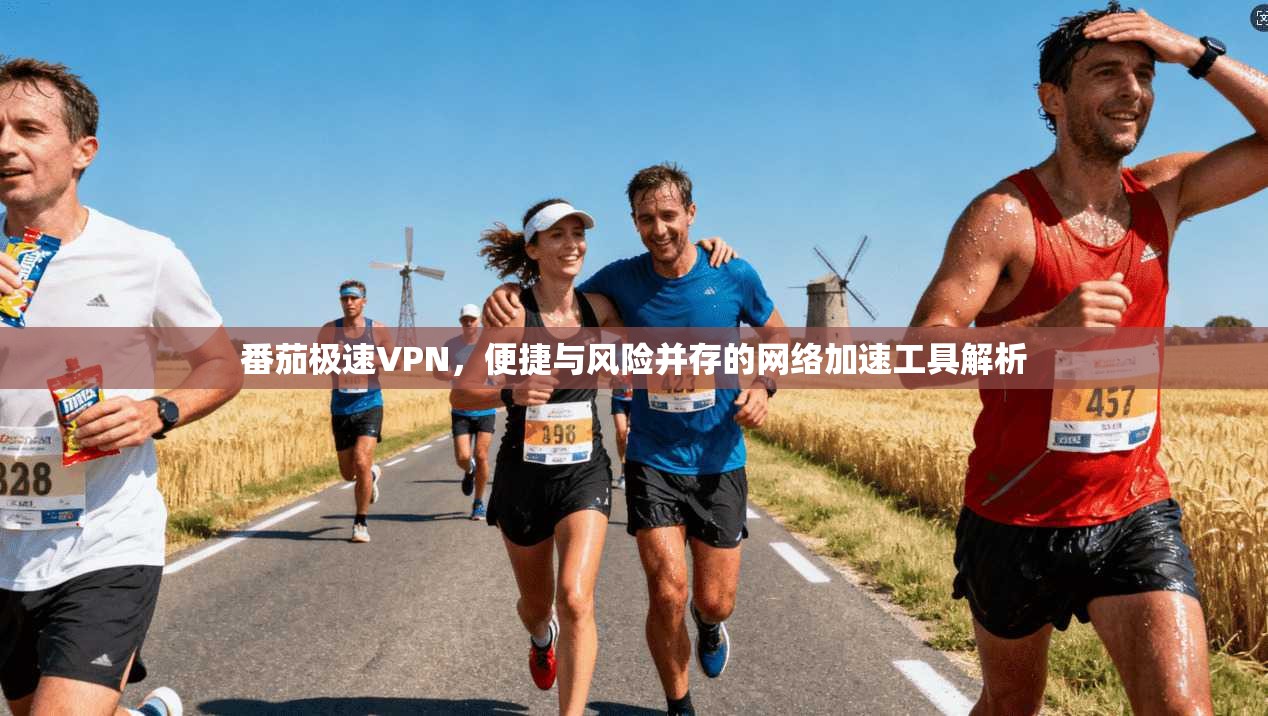 番茄极速VPN，便捷与风险并存的网络加速工具解析