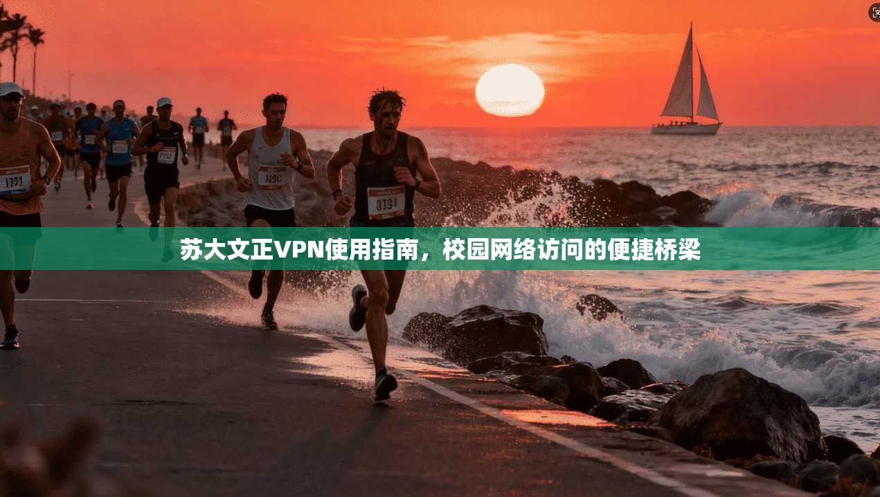 苏大文正VPN使用指南，校园网络访问的便捷桥梁
