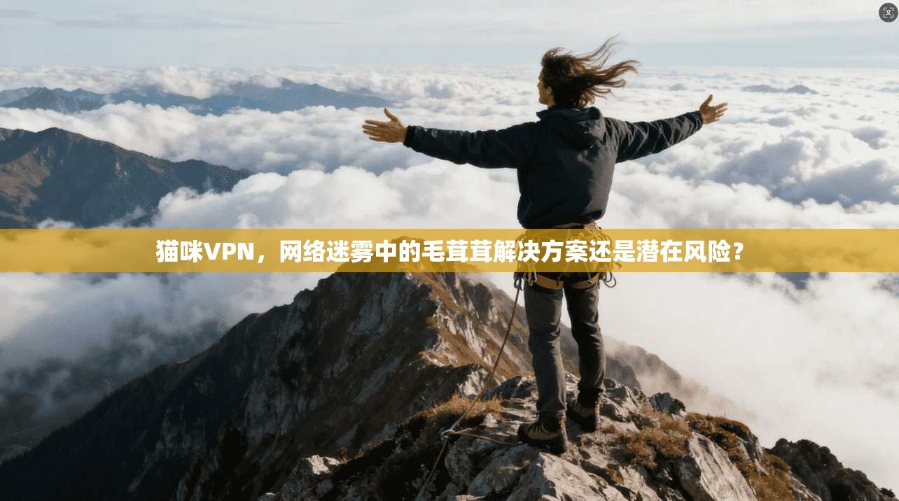 猫咪VPN，网络迷雾中的毛茸茸解决方案还是潜在风险？