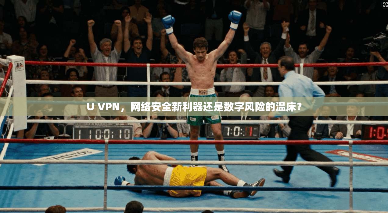 U VPN，网络安全新利器还是数字风险的温床？