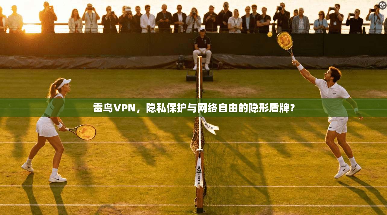 雷鸟VPN，隐私保护与网络自由的隐形盾牌？