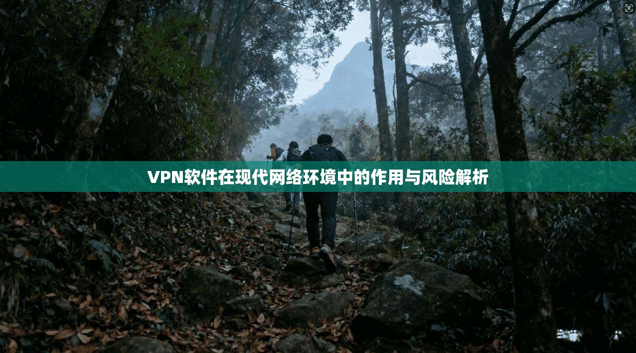 VPN软件在现代网络环境中的作用与风险解析