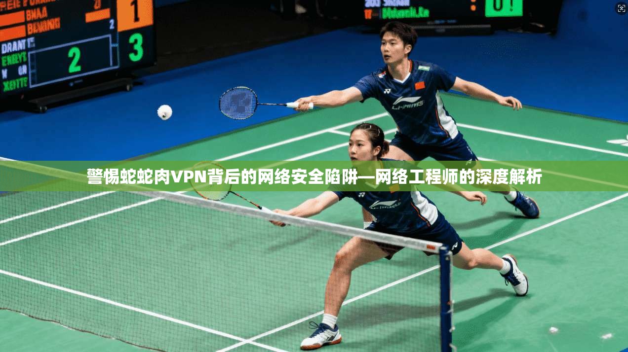 警惕蛇蛇肉VPN背后的网络安全陷阱—网络工程师的深度解析