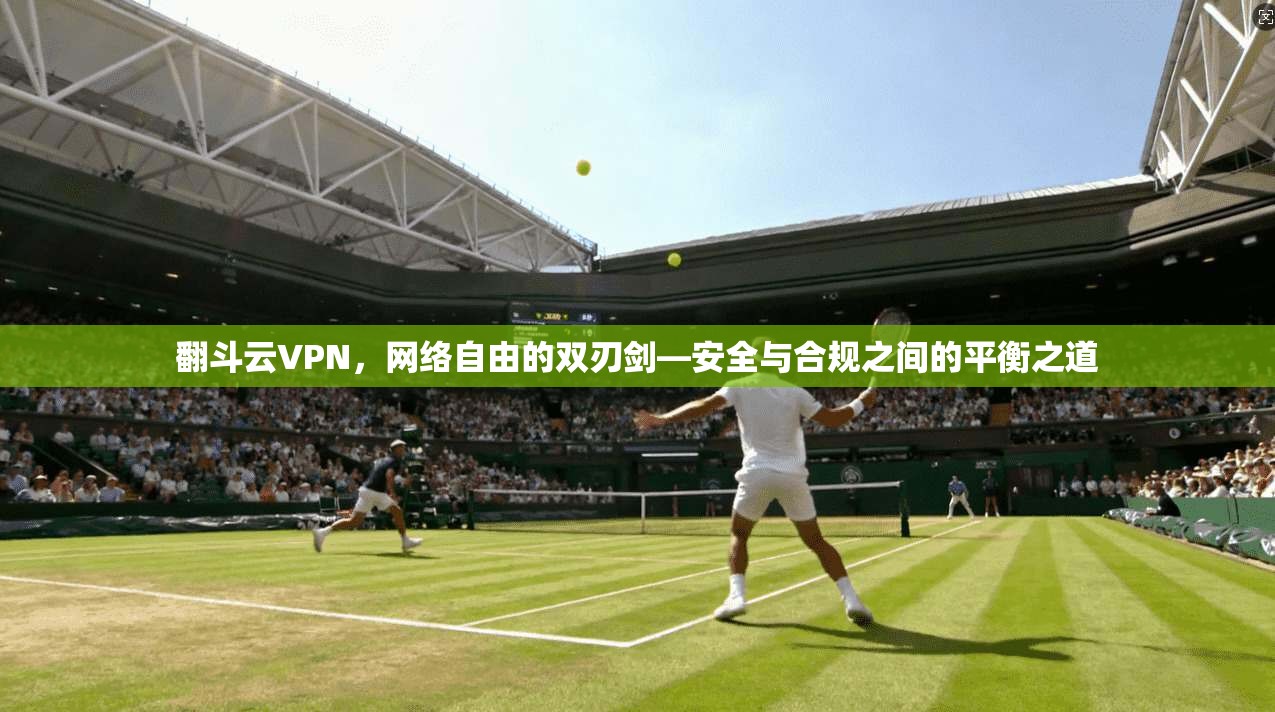 翻斗云VPN，网络自由的双刃剑—安全与合规之间的平衡之道