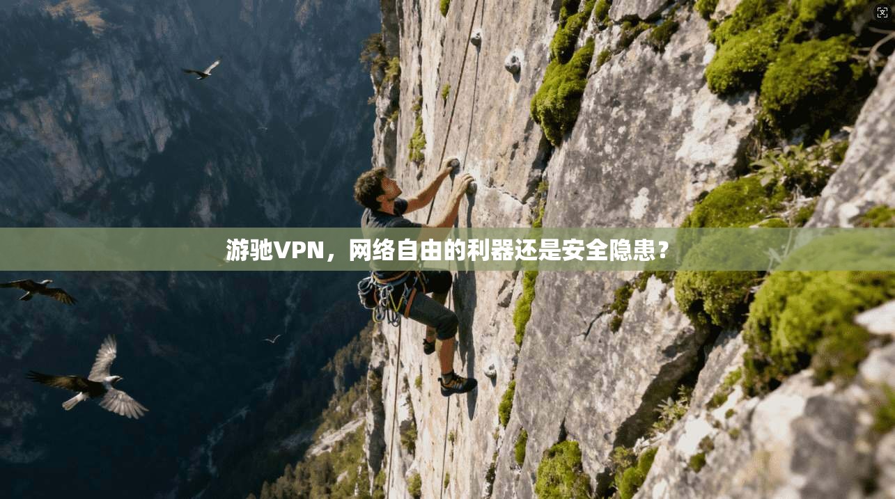 游驰VPN，网络自由的利器还是安全隐患？