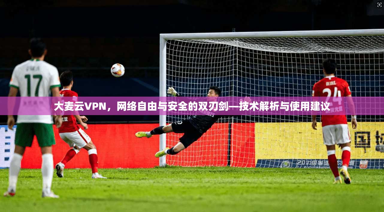大麦云VPN，网络自由与安全的双刃剑—技术解析与使用建议