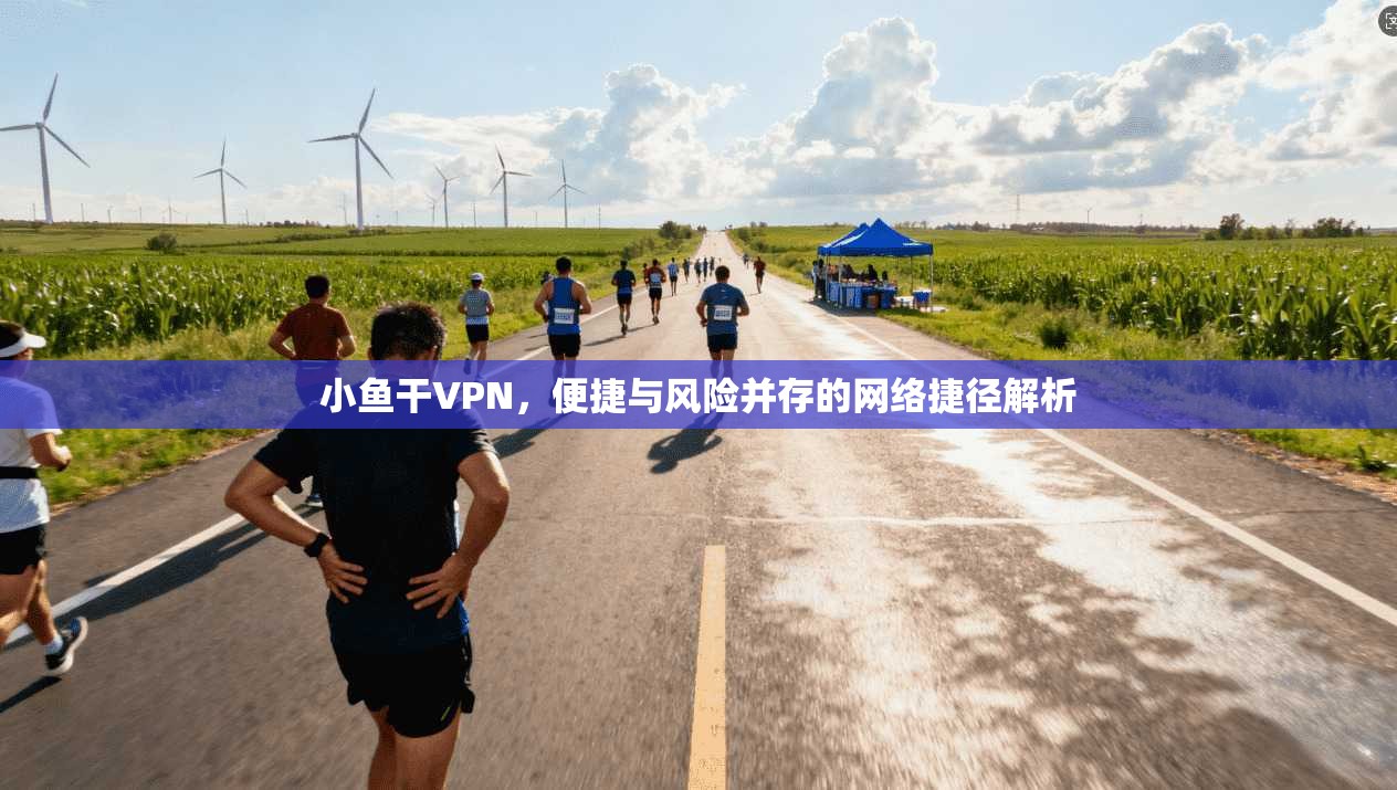小鱼干VPN，便捷与风险并存的网络捷径解析