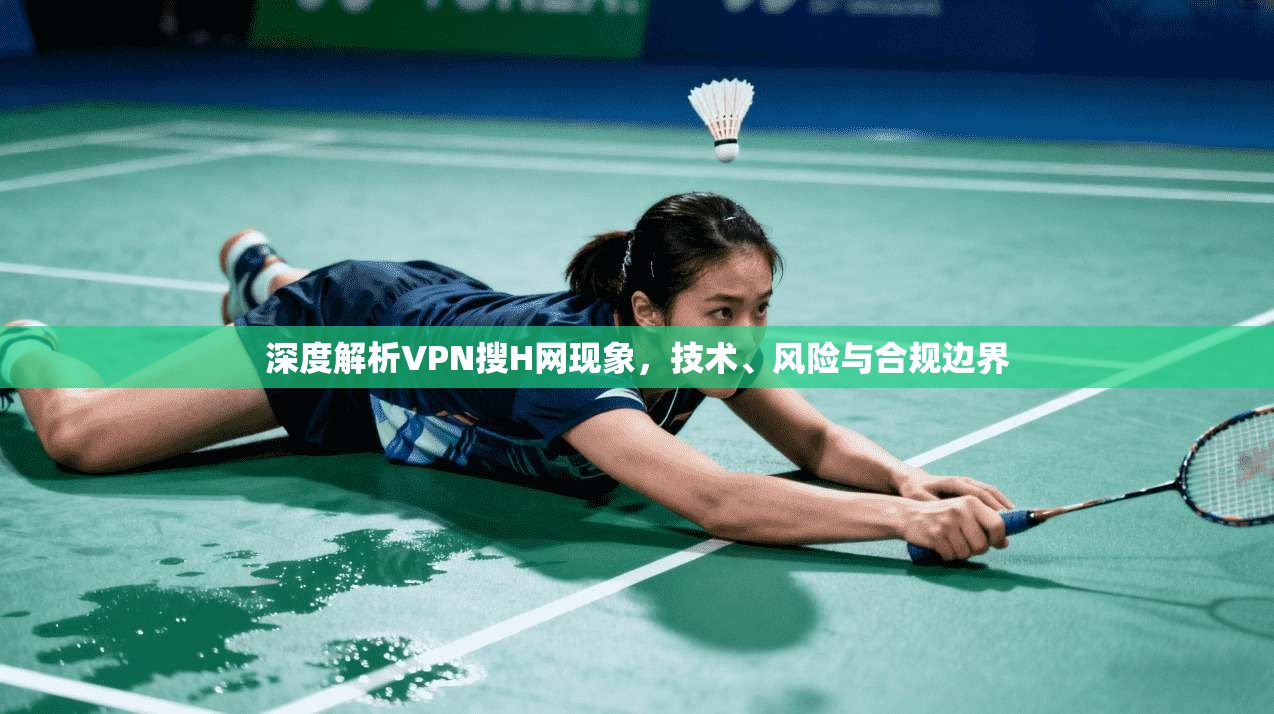 深度解析VPN搜H网现象，技术、风险与合规边界