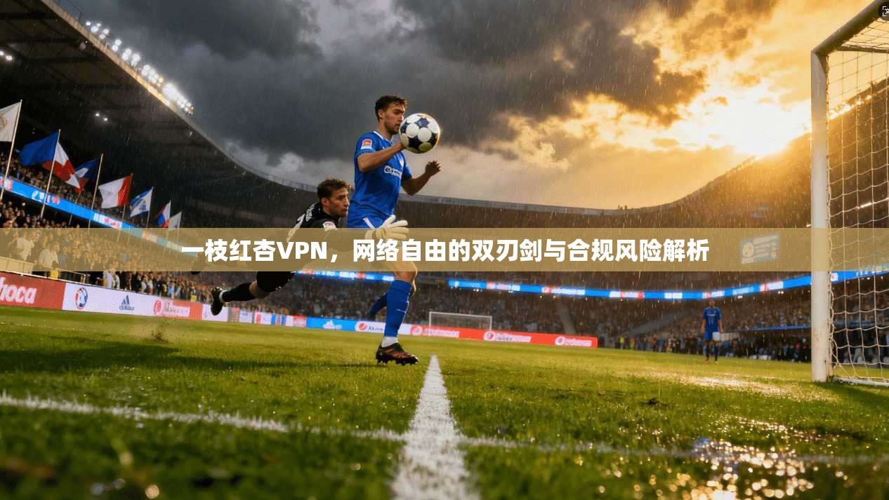 一枝红杏VPN，网络自由的双刃剑与合规风险解析