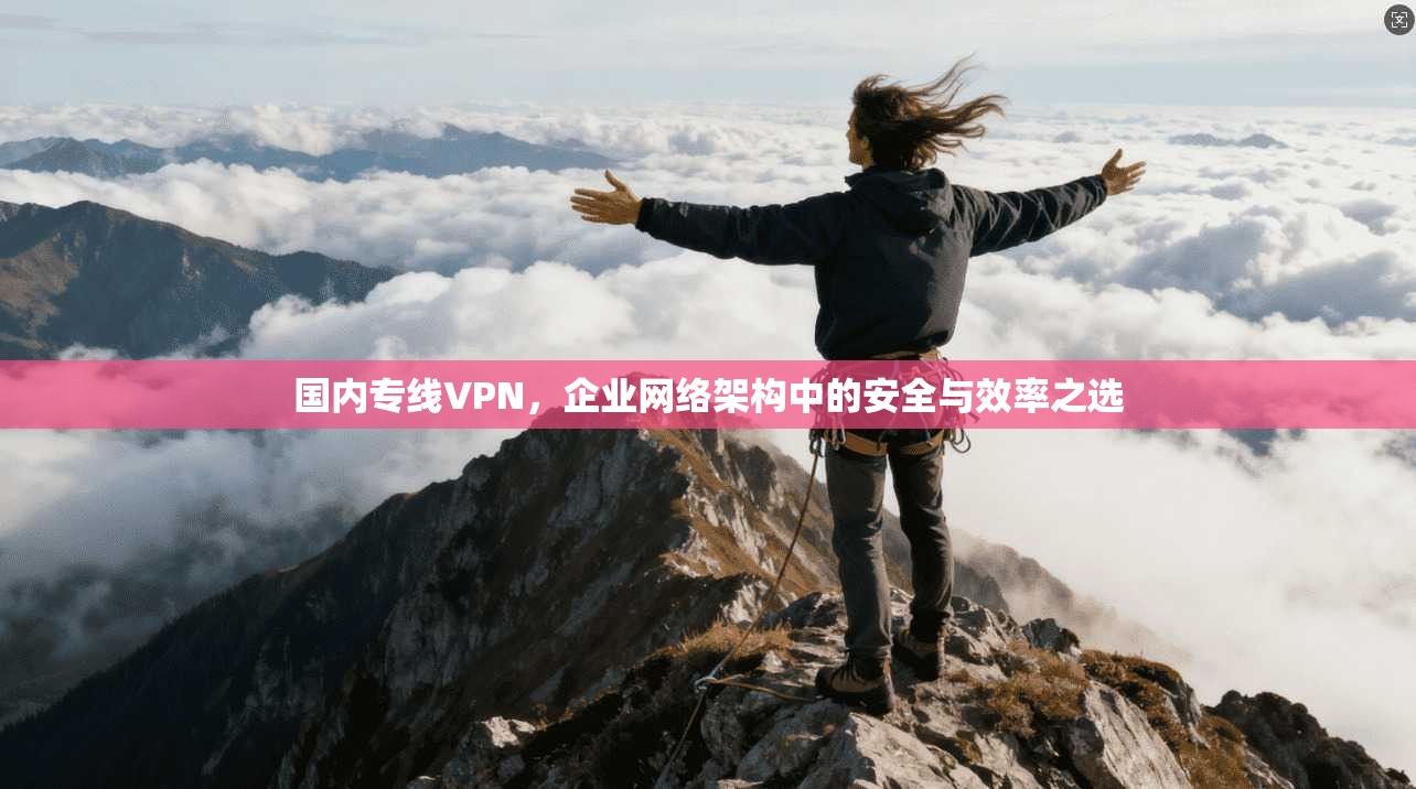国内专线VPN，企业网络架构中的安全与效率之选