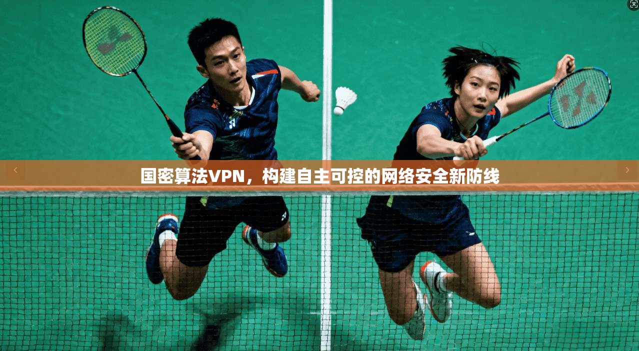 国密算法VPN，构建自主可控的网络安全新防线