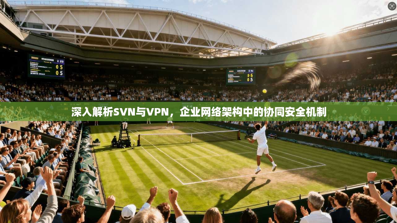 深入解析SVN与VPN，企业网络架构中的协同安全机制