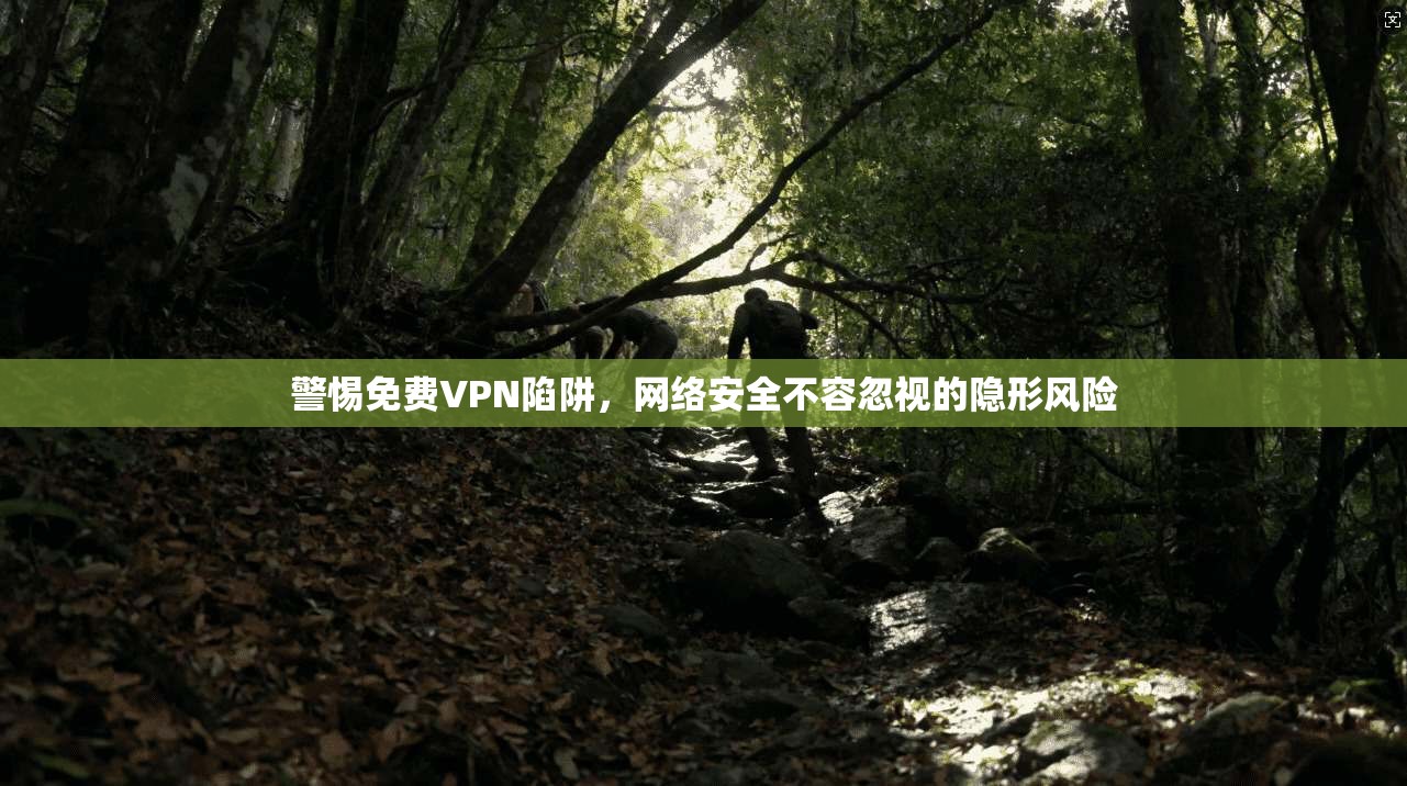警惕免费VPN陷阱，网络安全不容忽视的隐形风险